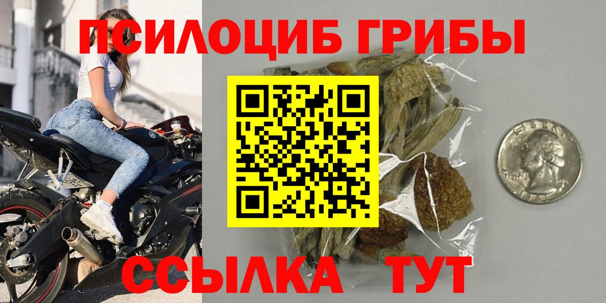 Псилоцибиновые грибы Magic Shrooms  где найти   Галлюциногенные грибы Cubensis  Тимашёвск  Вход с VPN 